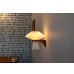 画像19: Le Klint Wall Lamp Model 204 Teak