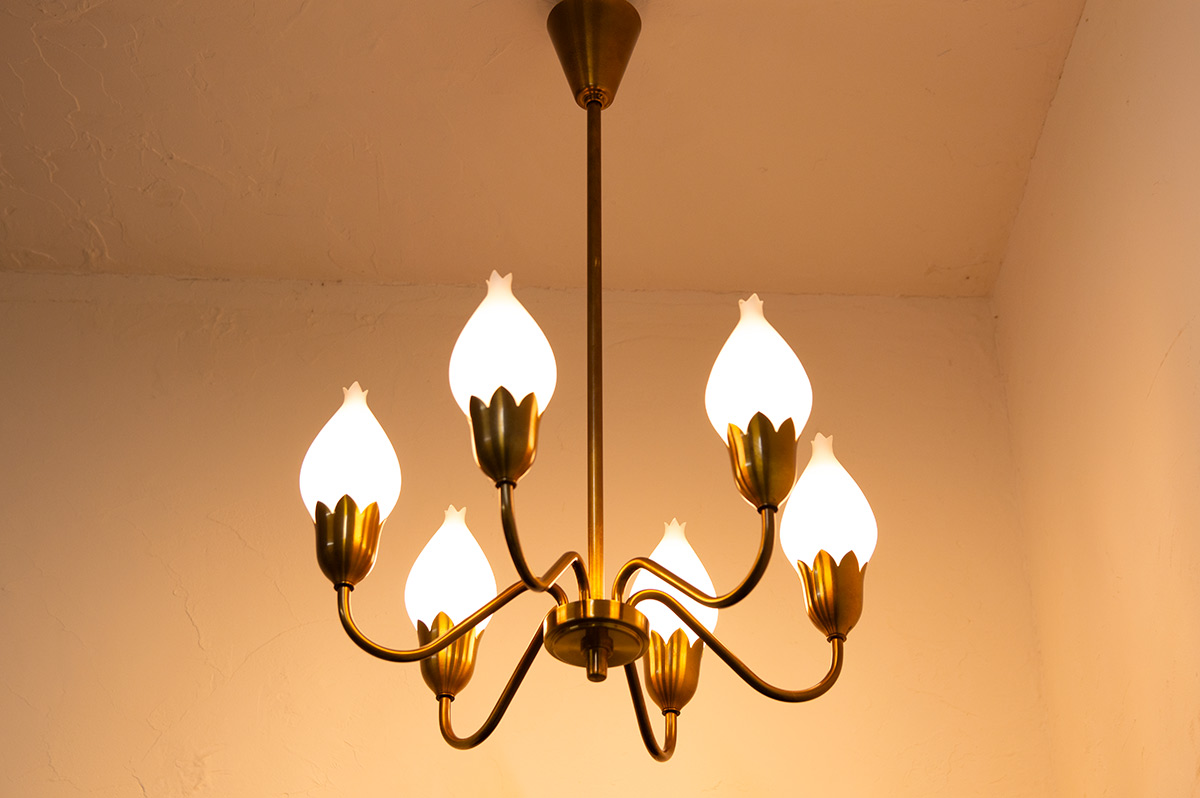 6Tulip Chandelier（銀座店）